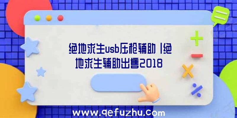 「绝地求生usb压枪辅助」|绝地求生辅助出售2018